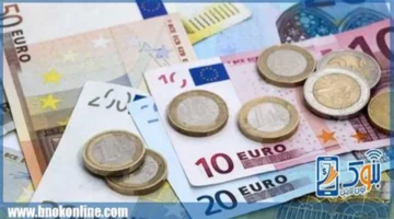 سعر اليورو يرتفع أمام الجنيه في بنوك مصر بنهاية تعاملات الأربعاء